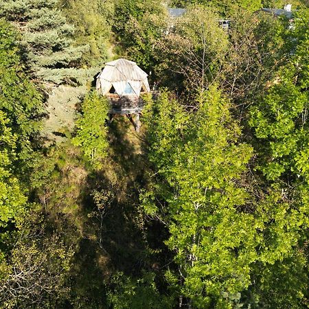 L'Oriel Du Senepy Guest House La Motte-dʼAveillans Eksteriør bilde